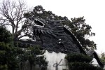 Yuyuan Garden  豫园, dragon,&nbsp;Shanghai