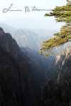 Huangshan (17)