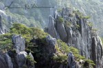 Huangshan (21)