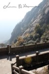 Huangshan (50)