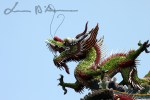 Taipei  (17)