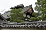 4 kyoto (8)