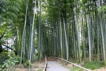 Kyoto 5 (32)