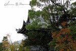 Kyoto 5 (60)