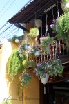 Hoi An (54)