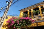 Hoi An (55)