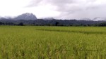 Vang Vieng (10)