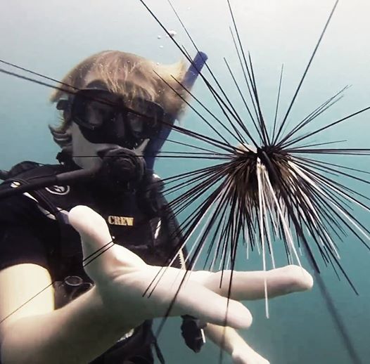 12391905_10156425197060510_2080580445114433089_n