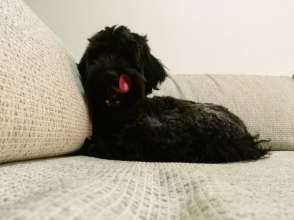 WeChat Image_20180505132046